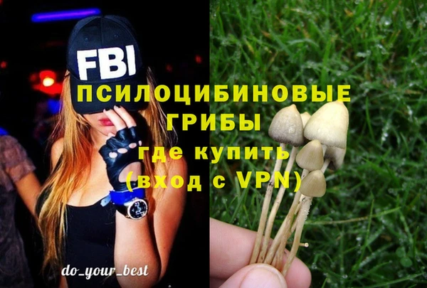 кристаллы Медвежьегорск