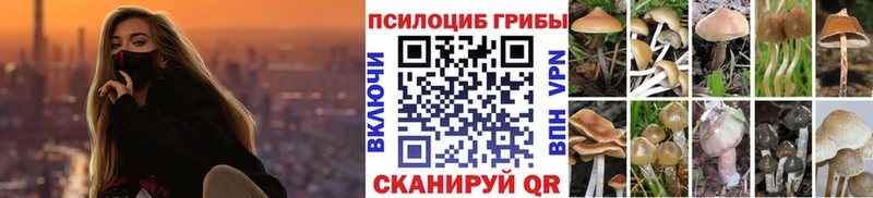 Псилоцибиновые грибы Magic Shrooms  Любим 